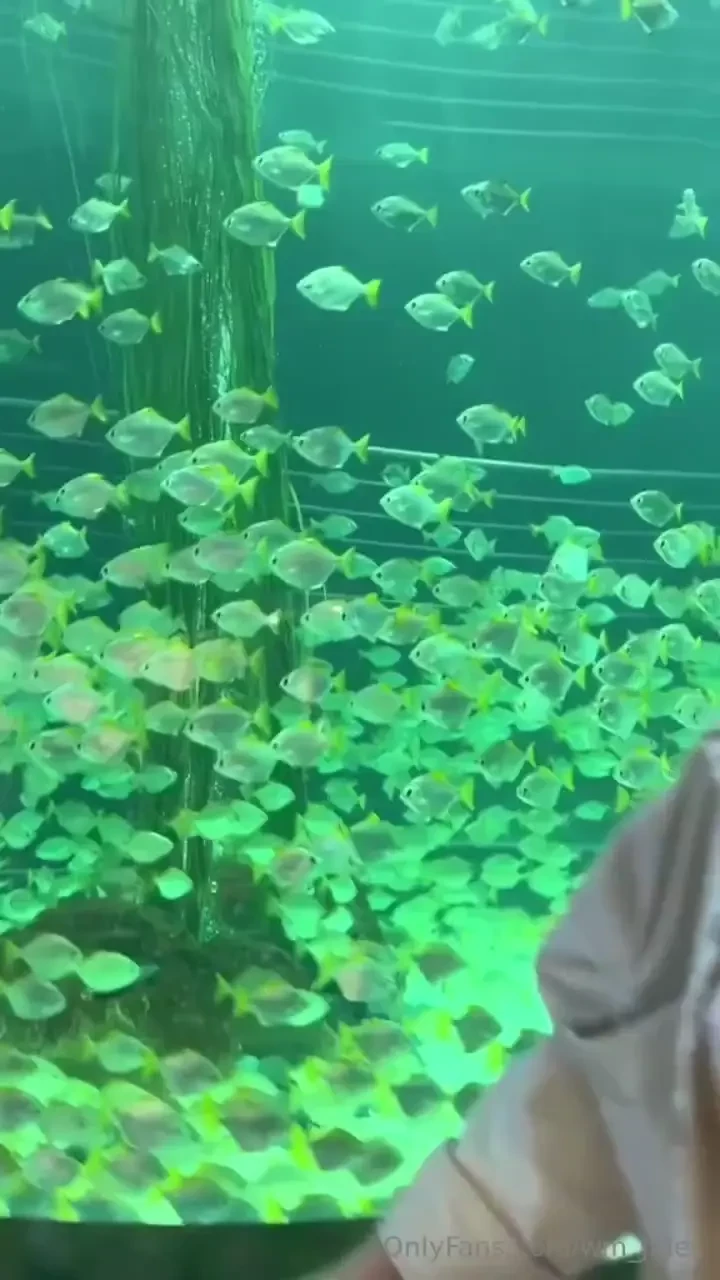 I invite you to enjoy this beautiful underwater world with me it s 