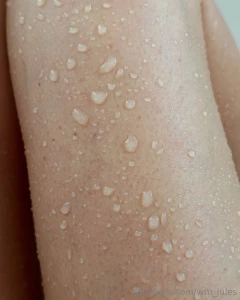 Wet part 493