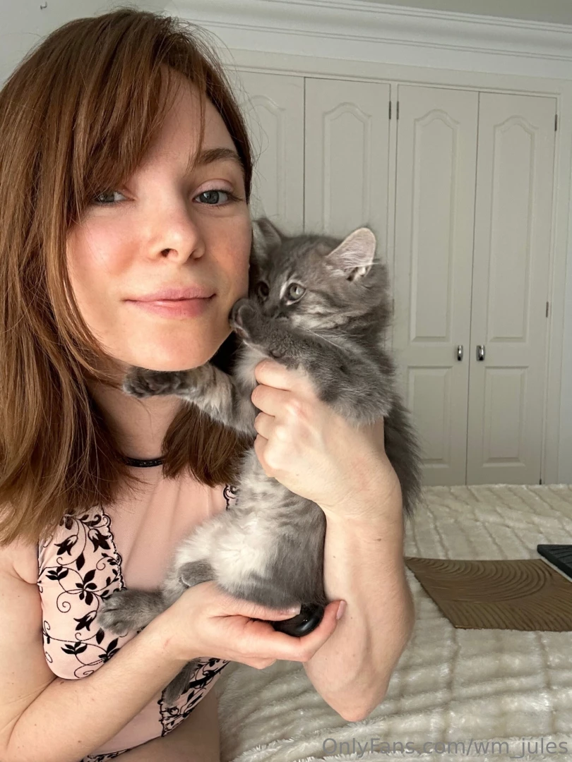 Every time i sit down to do something serious the kittens are right part 1 