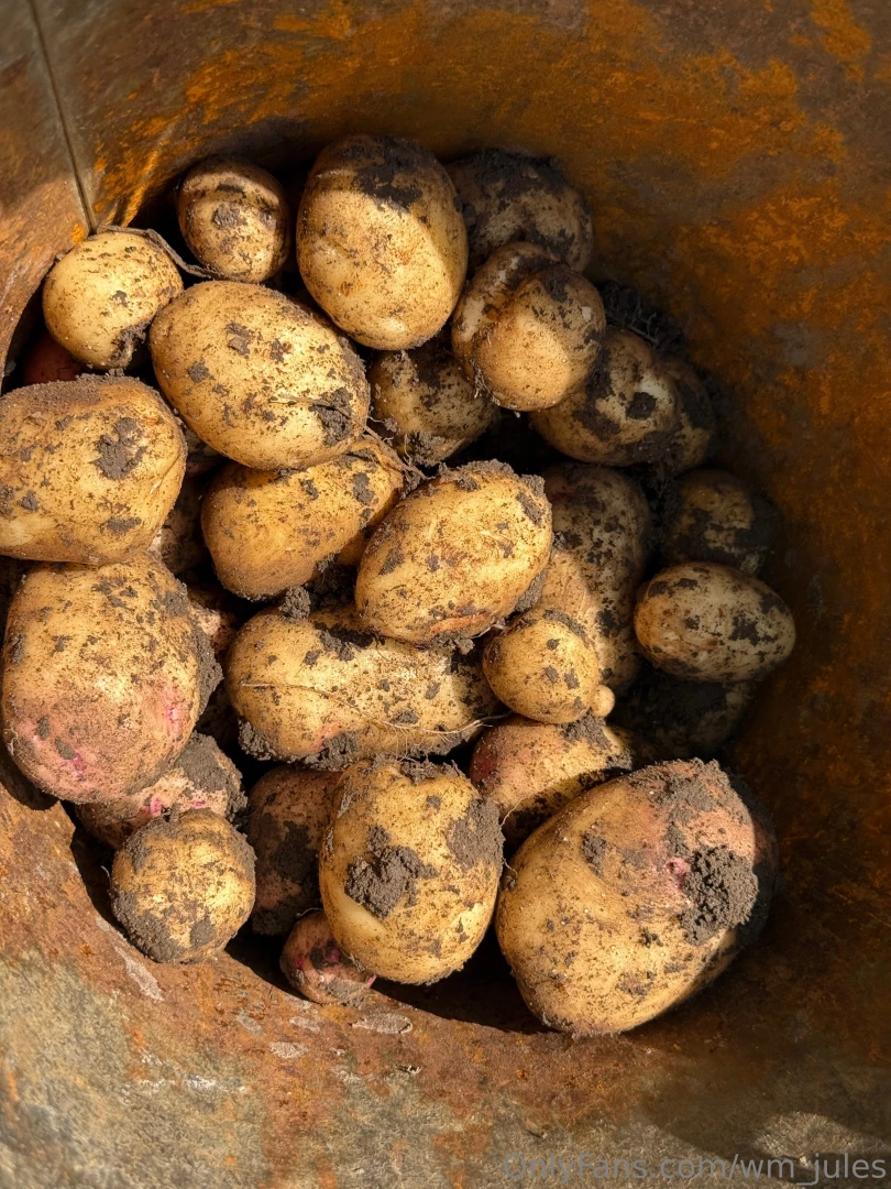 No words just potatoes and me part 1 