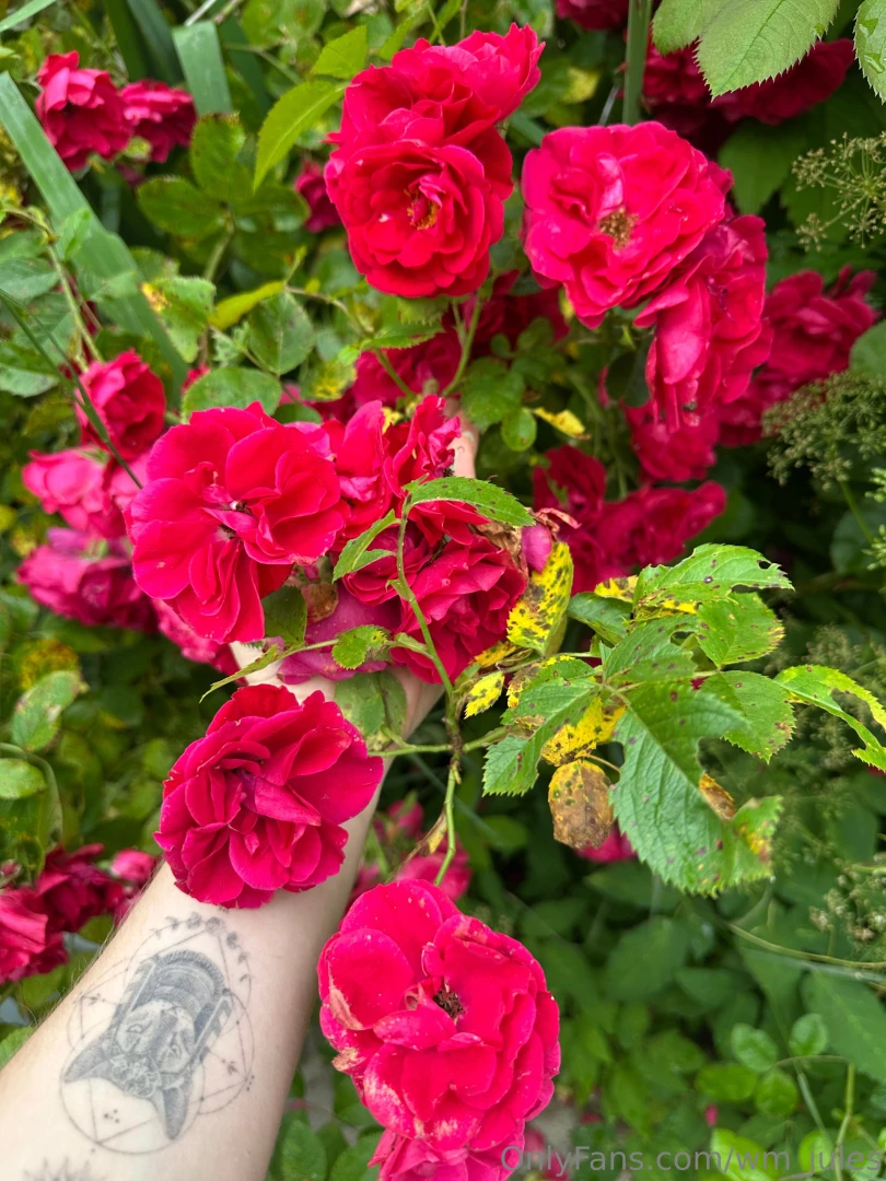 Surrounded by roses but you re still the most tempting thing in the 