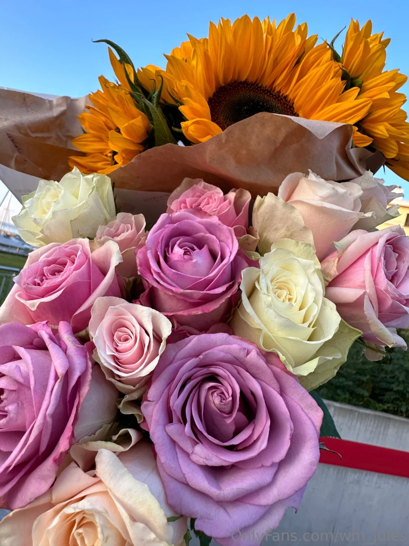 I m on a new trip again i hope last in this year arrived in 