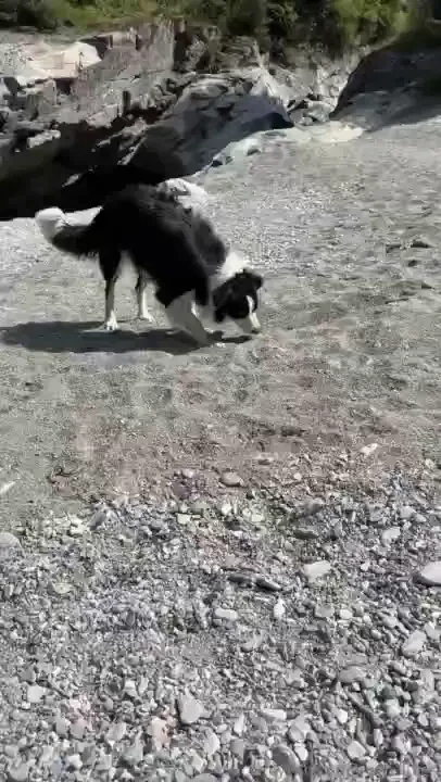 Somewhere on the road to italy part 1 