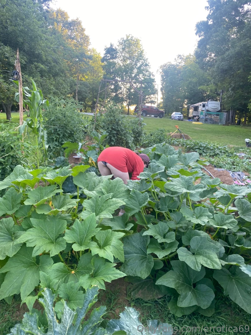 Spot the peach in the garden 