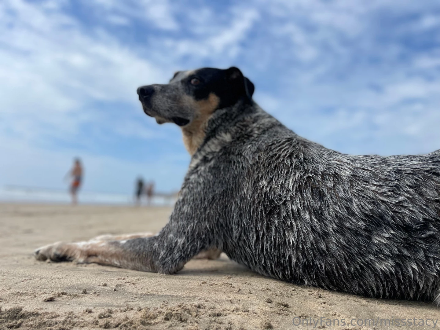 Happy new year happy new things here is the vibes so far part 3 