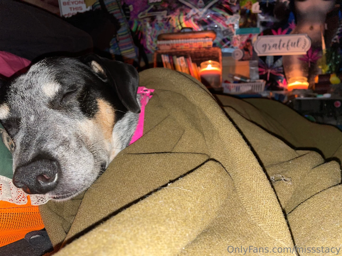 Good evening from the lady layer would you ever guess i love how cozy part 1 