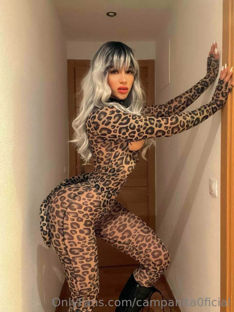 Do you want to play with these cats part 4 