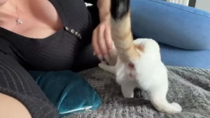 Playing with my pussy all day long