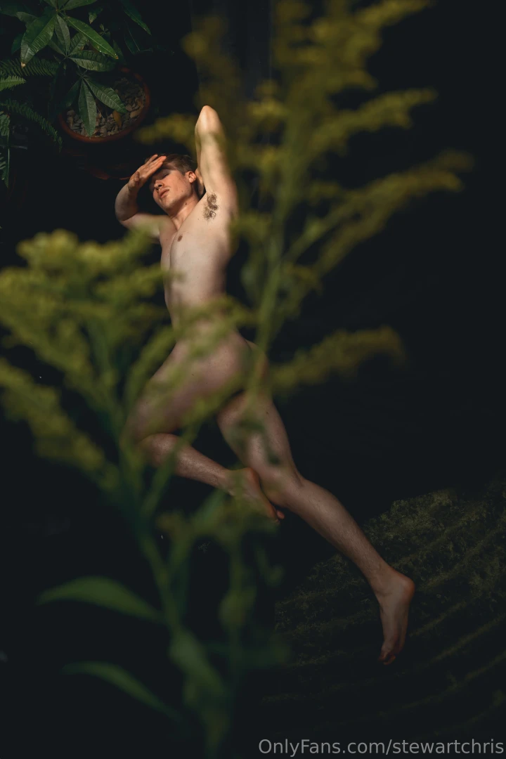 Watching me through the bushes 