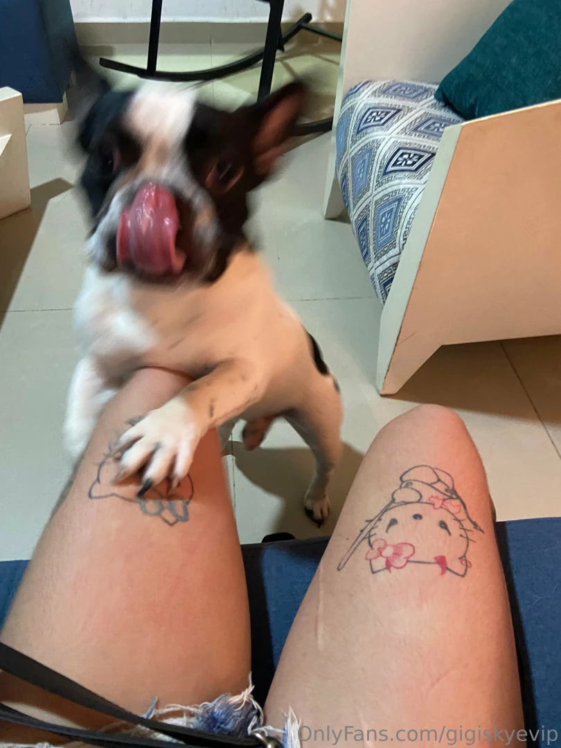 Feel jealous would you like to swap places with my doggy 