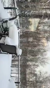 Wait for the surprise part 1