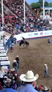 Howdy y all i have no idea why it was so difficult to post here the