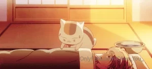 Y all i m awake but pooooped my fever finally broke a couple hours ago