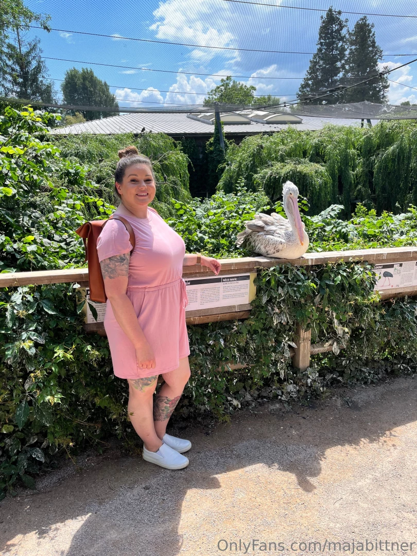 Free day visit to the zoo happy fatty 