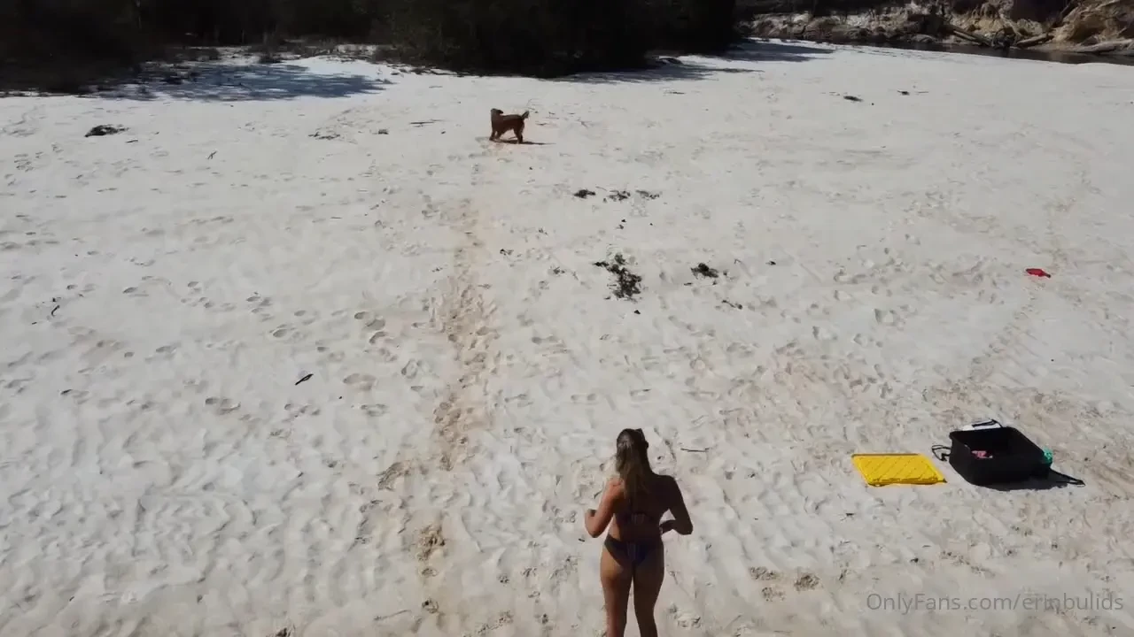 The dog days of summer 