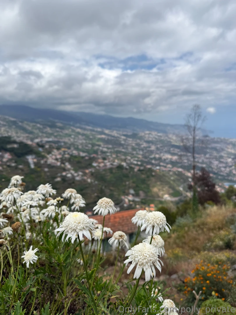 I dream of one day being able to pay for a skydive and see all the 