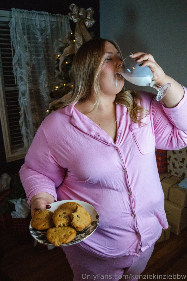 I couldn t resist santa s cookies and milk part 5 