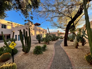 Lovely trip down to tucson az my favorite body of water is a hot tub part 3