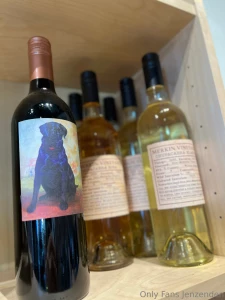 Real estate behind the scenes in lovely oro valley az jan 2024 part 1