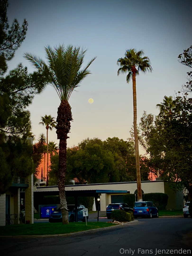 Real estate behind the scenes in lovely oro valley az jan 2024 part 2 