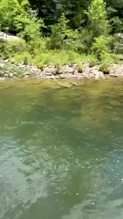 Snap dump from a camping trip i got to enjoy part 3 