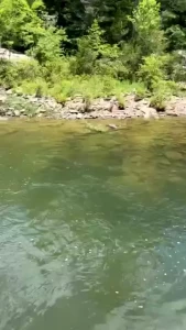 Snap dump from a camping trip i got to enjoy part 3