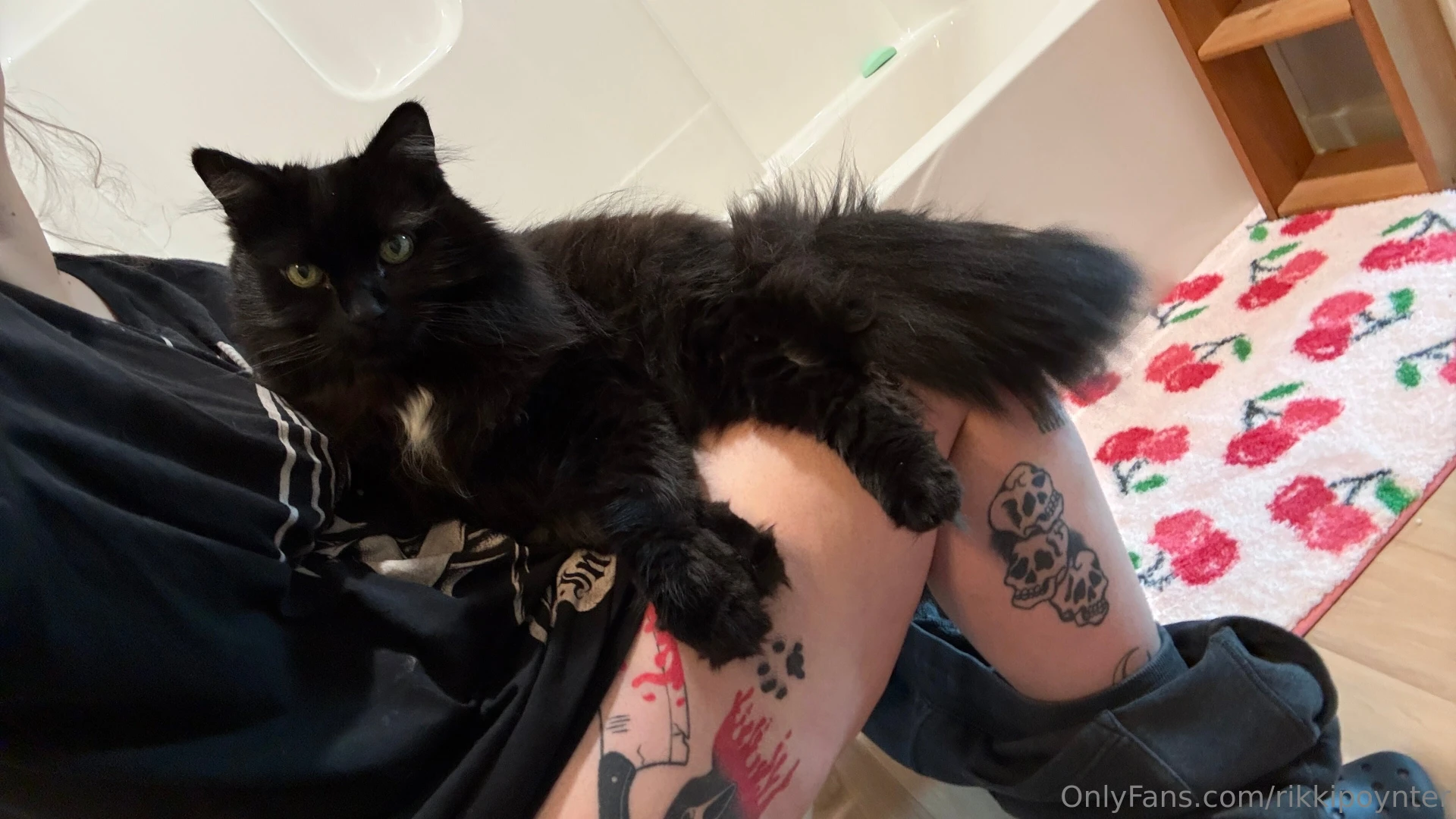 Guess i m not leaving 