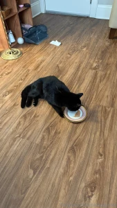 Simon has to go to urgent care er today he s not able to use his back