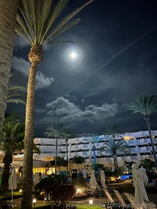 Beautiful view at the hotel the other day i took this photo after my