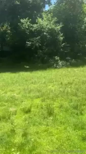Looks like i found some privacy in the park maybe i should take