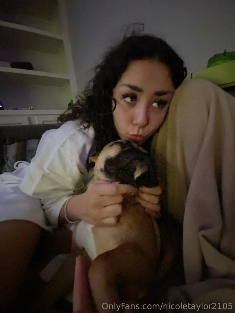 Isn t my frenchie so adorable 