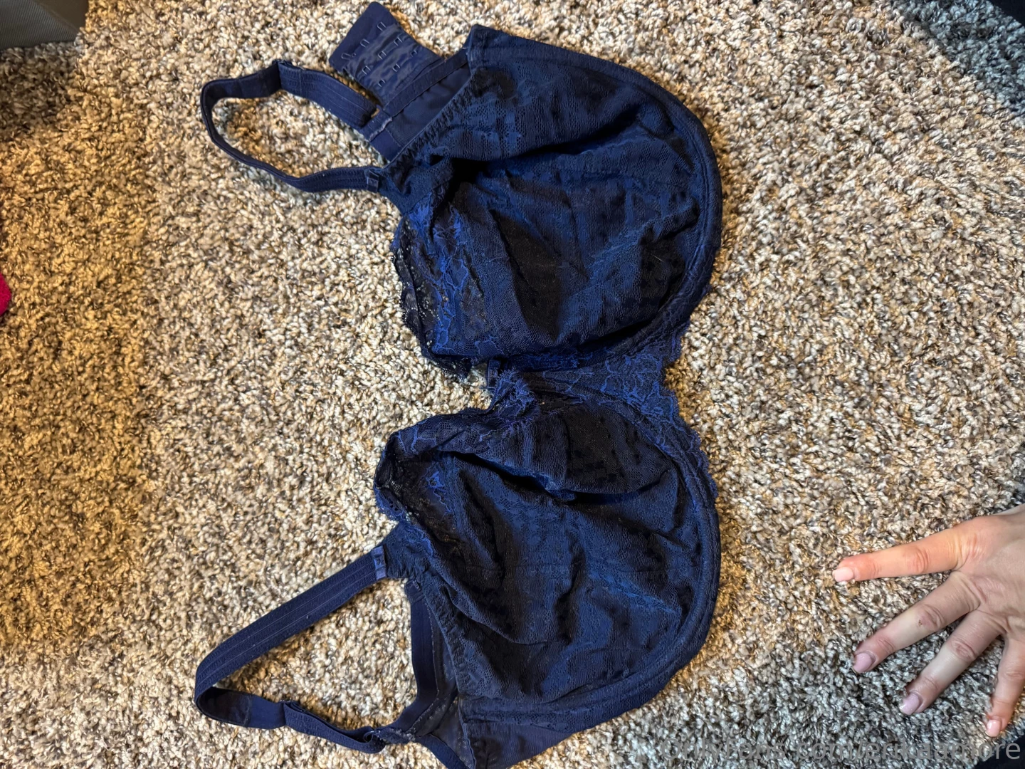 Bras for sale sizes range from 34h to 38j dm me for prices part 5 