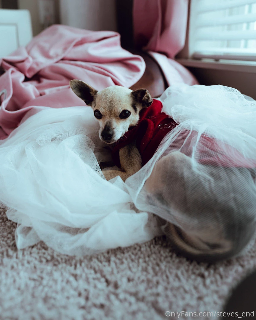 Steves-end part 49986 