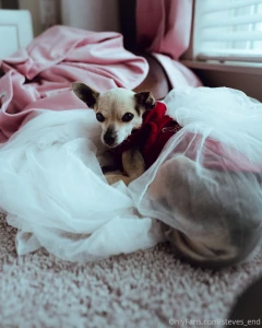 Steves-end part 49986