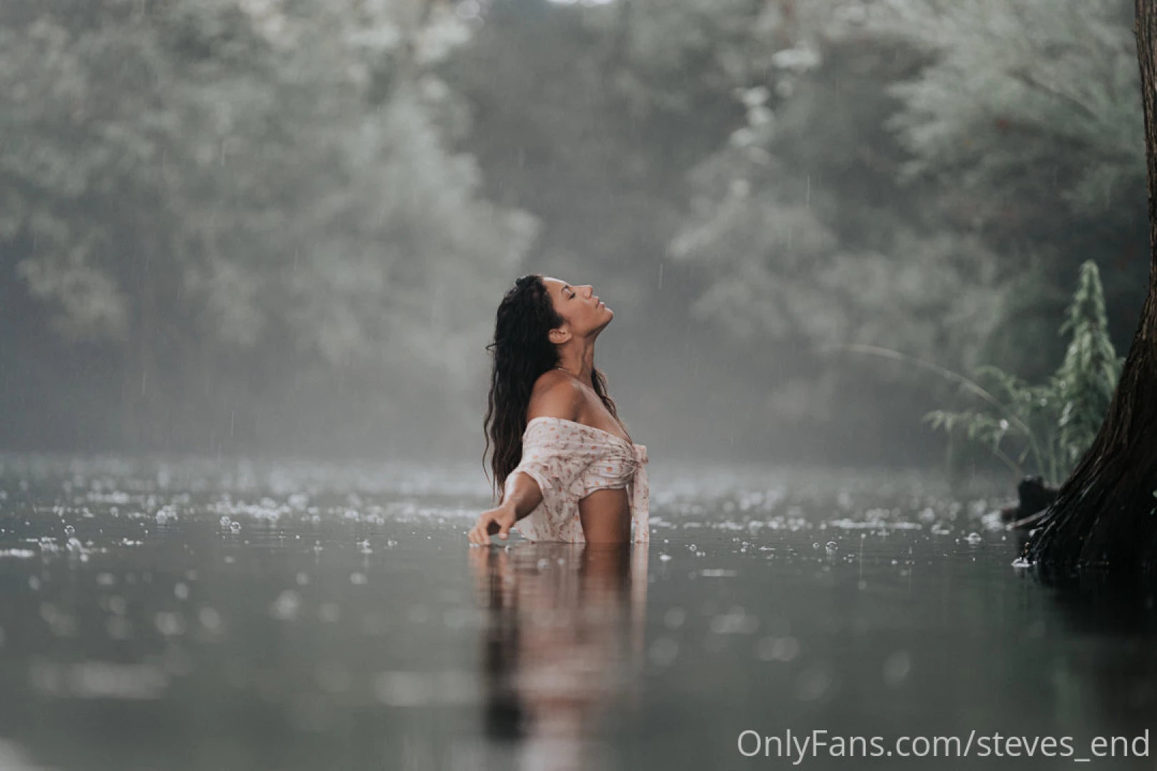 Steves-end part 50304 