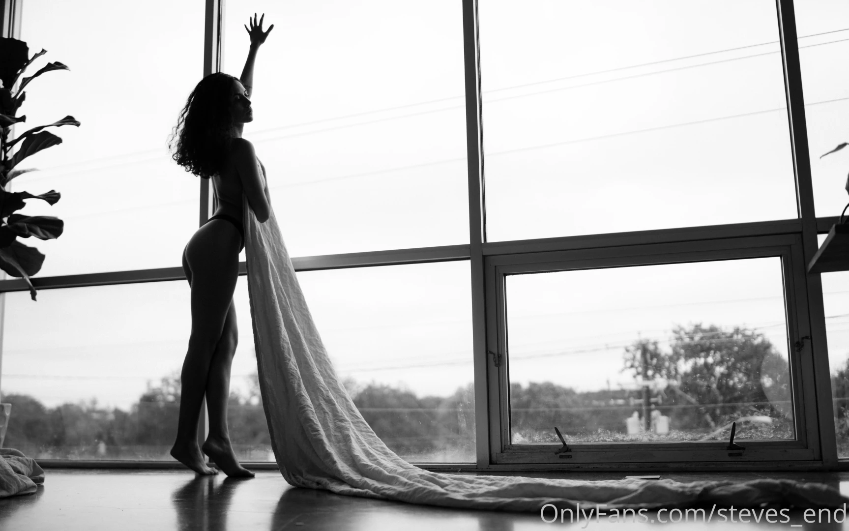 Steves-end part 50858 