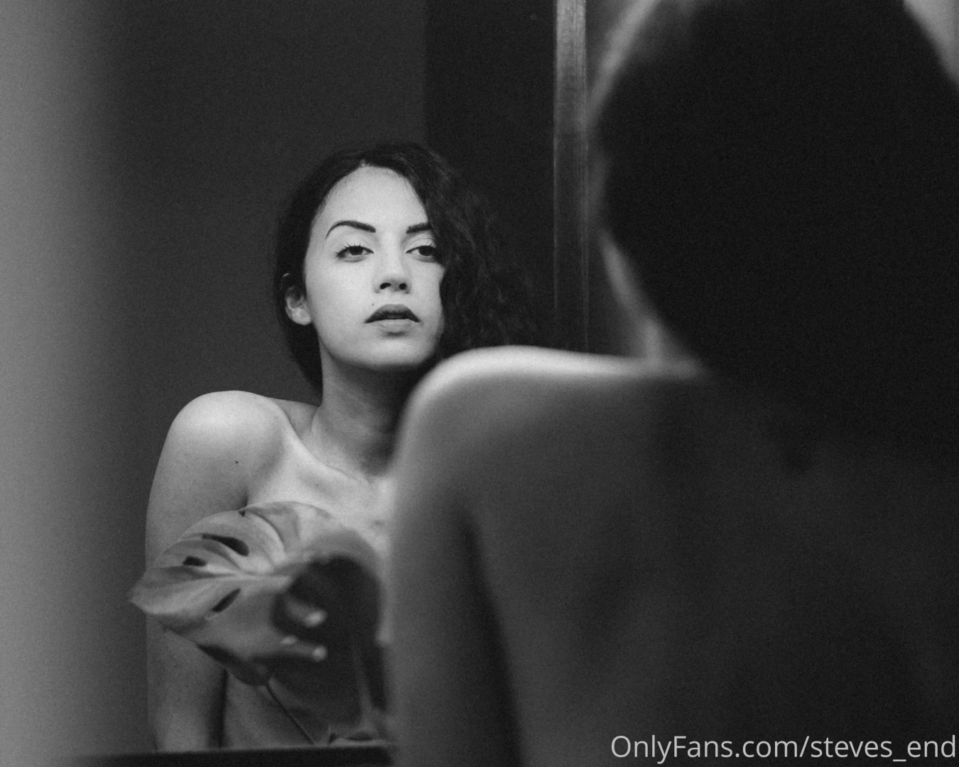 Steves-end part 50861 