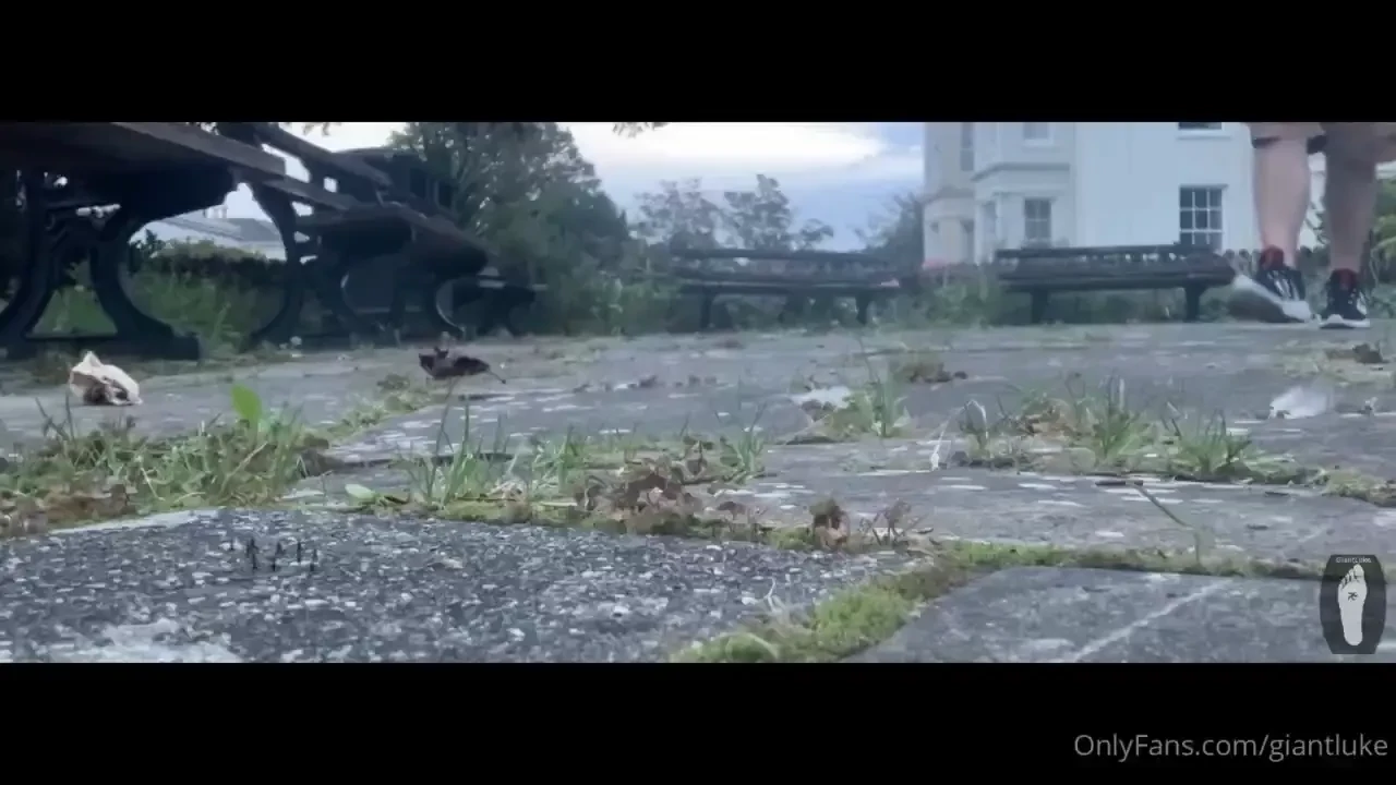 He s just walking short vid edit commission - enjoy - 