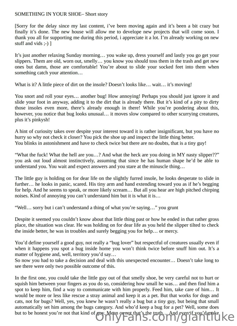 Something in your shoe short story sorry for the delay since my last 