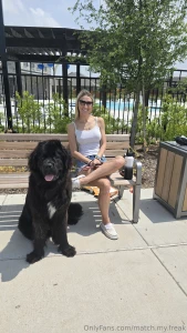 My newfoundland named bear guess how old he is