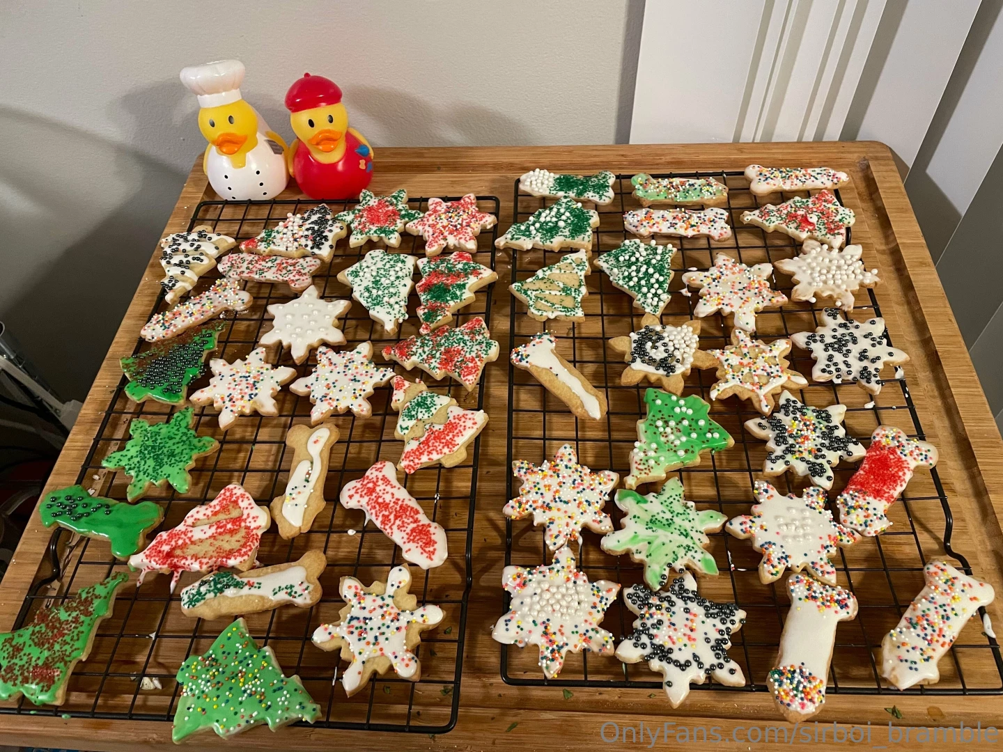 Post christmas photos part 2 