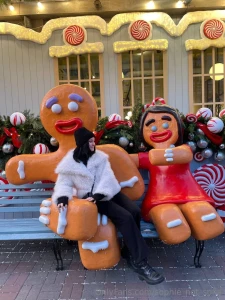 Do you like gingerbread cookies