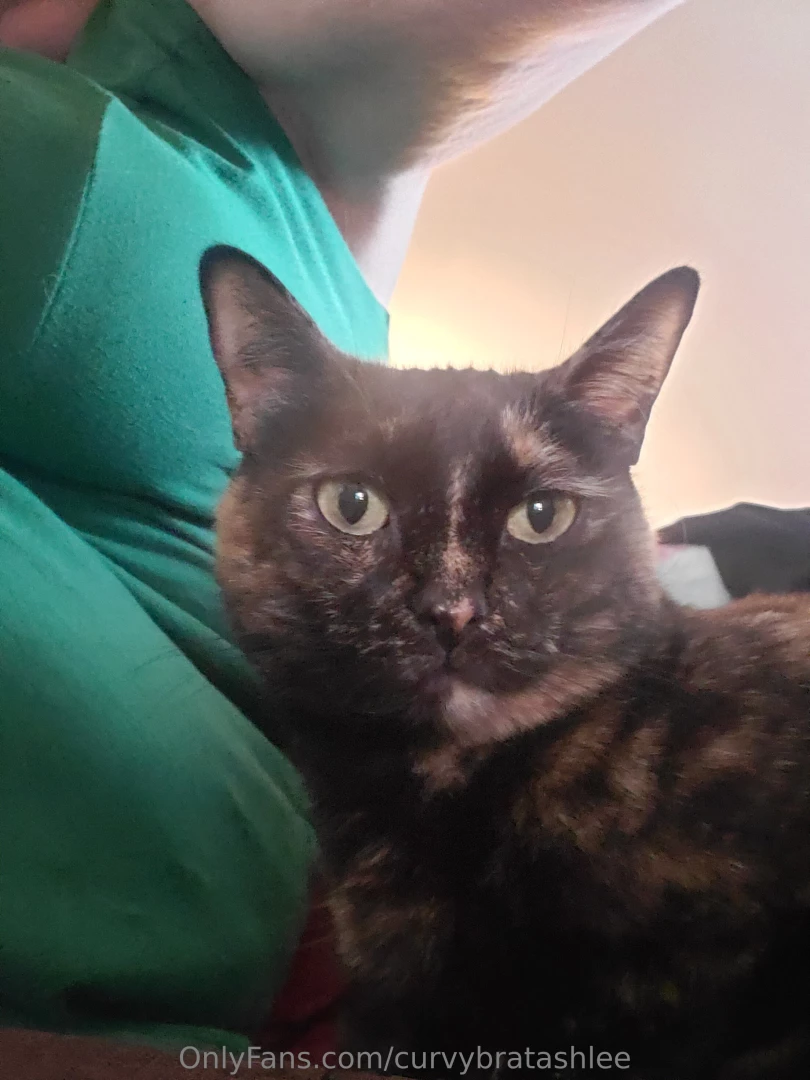 Curvybratashlee part 18 