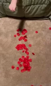 Happy valentine s day just wanted to send some love to those of you