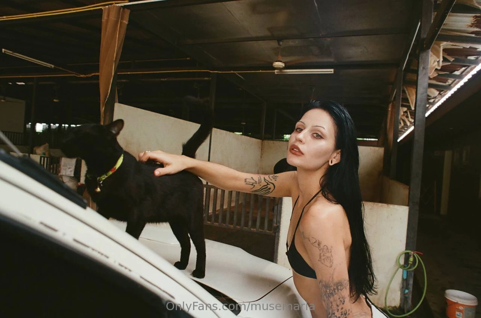 She purrs only when she wants to and today she wanted 