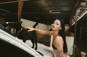 She purrs only when she wants to and today she wanted