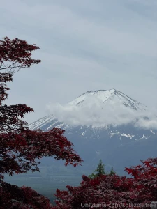 Heyyy guess who went mia for a bit my bad i basically spent all my part 15