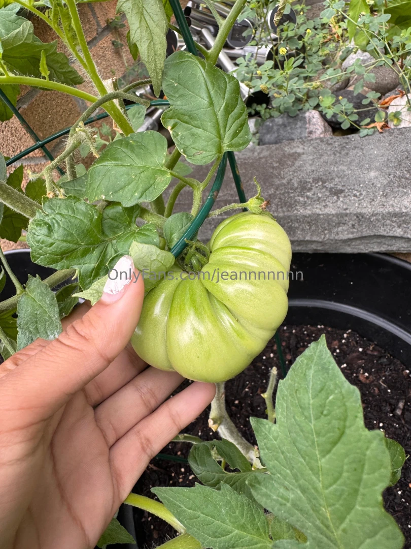 I know you guys probably don t care but my little garden is coming part 1 