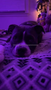 Happy monday my loves part 35