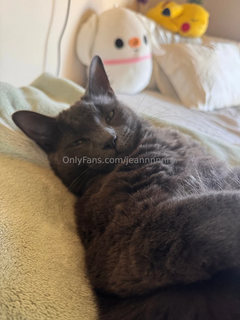 Hit it from the back so i don t get attached part 2 